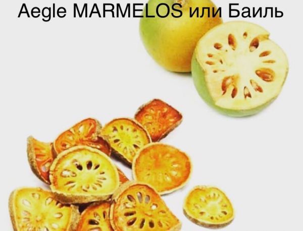 Aegle MARMELOS или Баиль