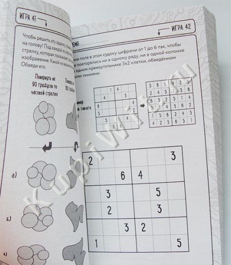 Brain Gaming for Clever Kids