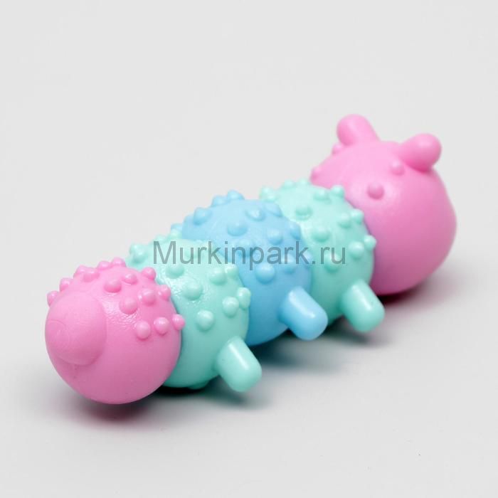 Игрушка жевательная "Гусеница", TPR, 12,5 см, микс цветов