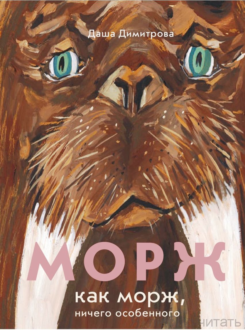 Морж как морж, ничего особенного