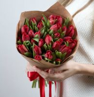Тюльпан 25 шт (красный)Краснодарский