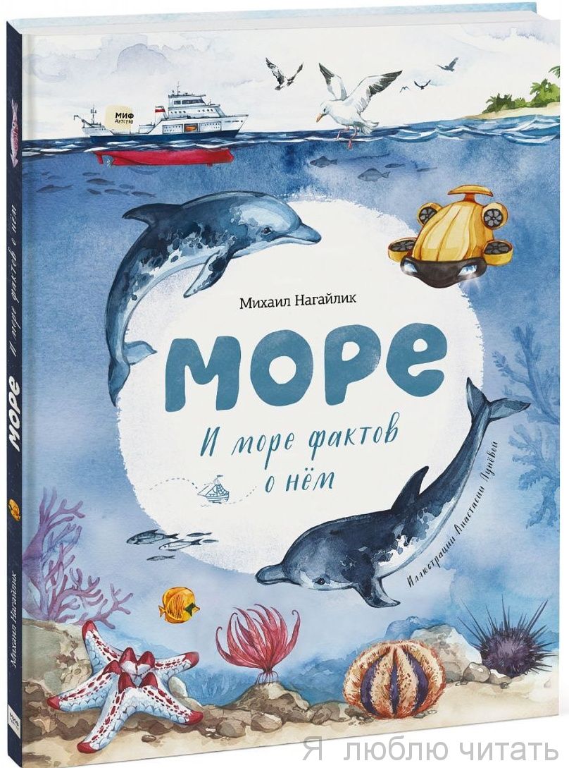 Море. И море фактов о нём