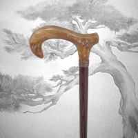 Трость Сенефа