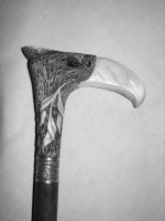 Трость для ходьбы Болотная птица