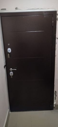 Дверь Входная АльтДвери Альт Зеркало Дуб Филадельфия