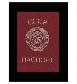 Паспорт СССР. Рожденному в СССР. Постер (плакат). Размер 30х40 см Msh Ali Oz