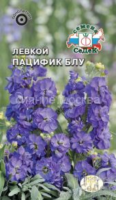 Левкой (маттиола, темно-синий) Пацифик Блу (СеДеК)