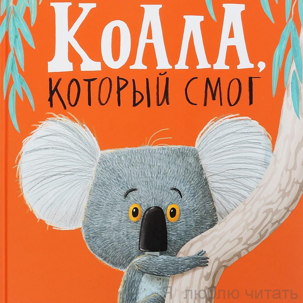 Коала, который смог
