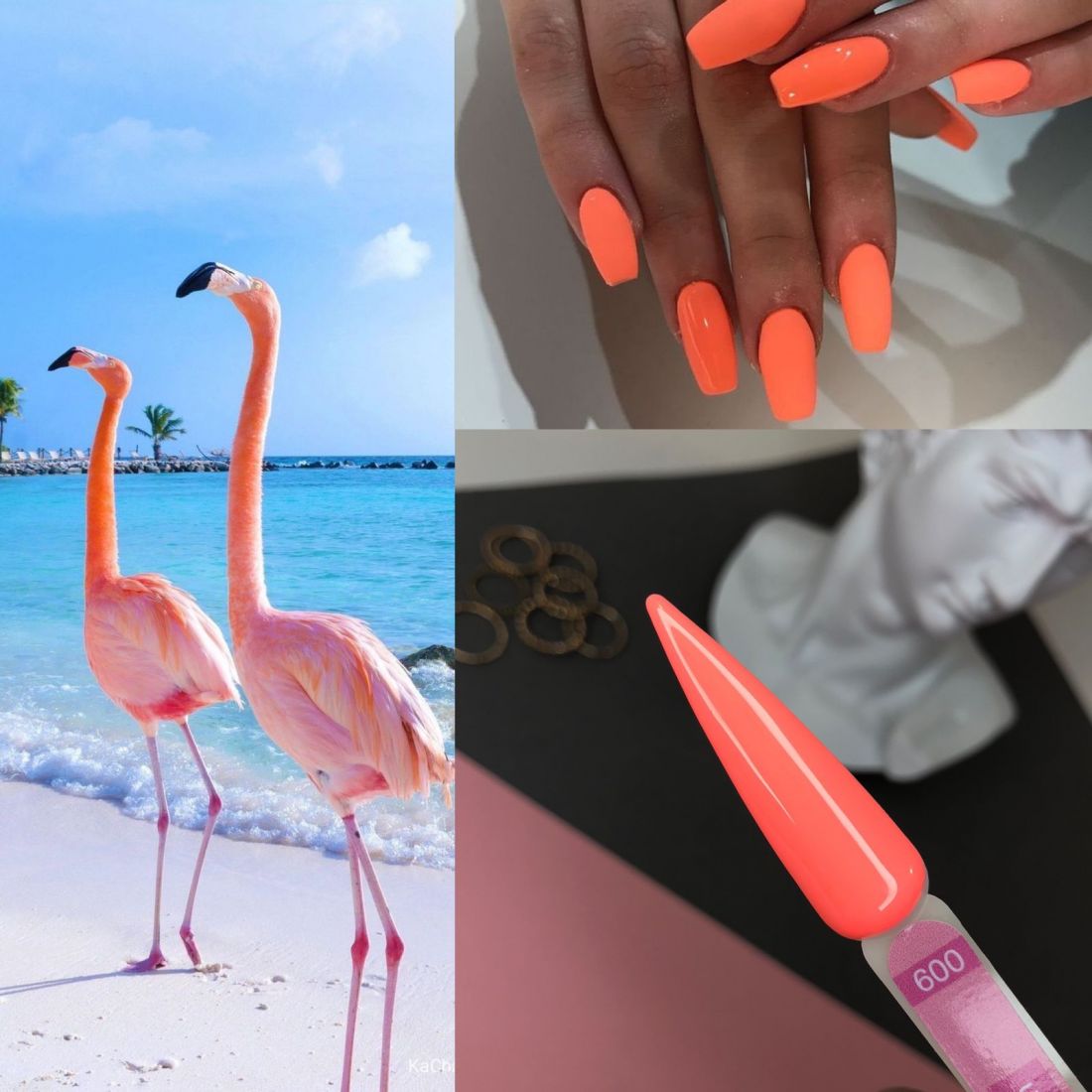 Гель-лак Flamingo №009