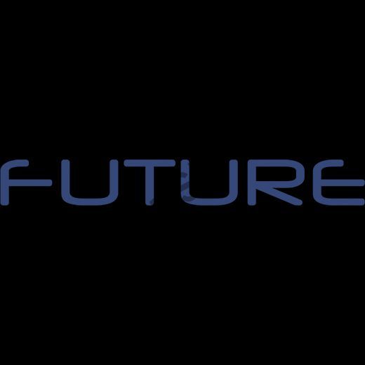 Future  250 гр - Pomegranate-Berry (Гранат Ягоды)