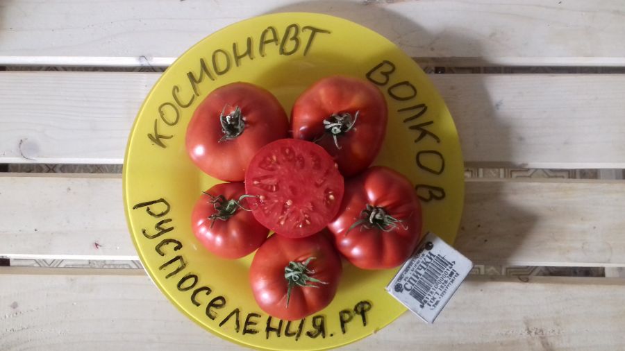 Томат "Космонавт Волков" (1983 г)