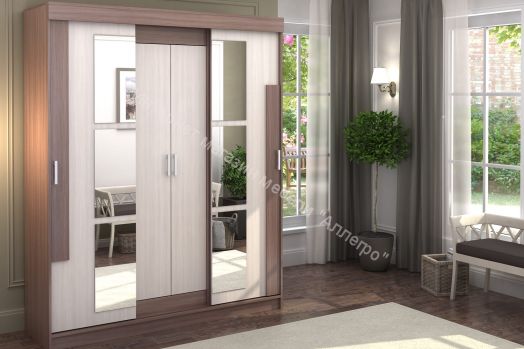 Шкаф купе "Фея"