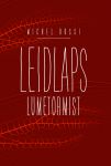 Leidlaps lumetormist