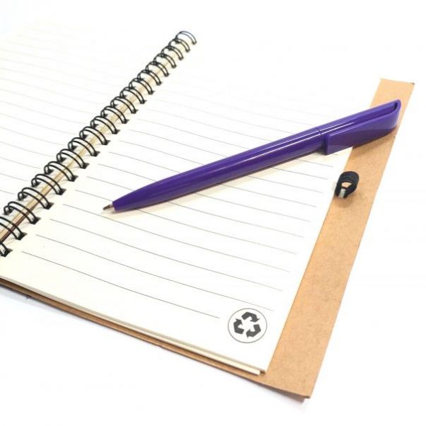 Шариковые ручки Каролина фиолетовые