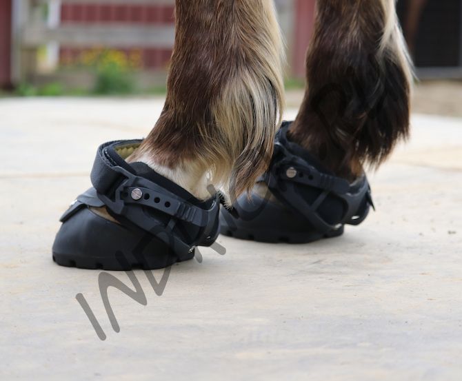 Ботинок для копыт EasyBoot Glove 50