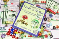 Эволюция. Трава и грибы