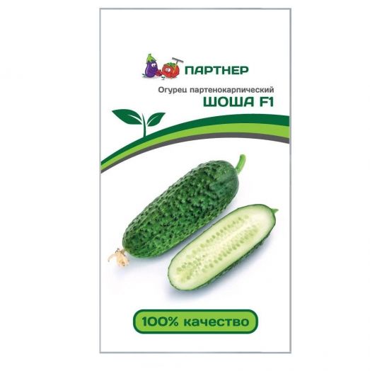 Семена Огурец Шоша F1