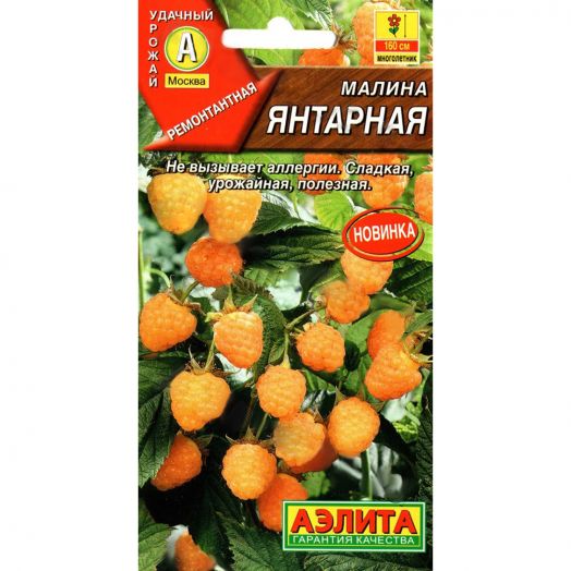 Семена Малина Янтарная