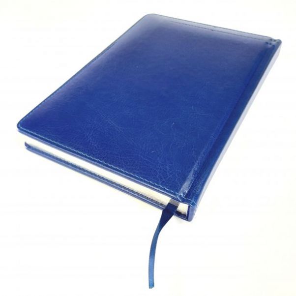 Ежедневник Joy синий А5