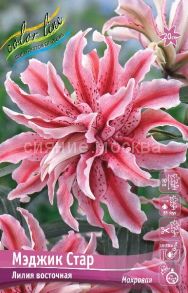 Лилия МЭДЖИК СТАР MAGIC STAR восточный гибрид густомахровый, 1 шт