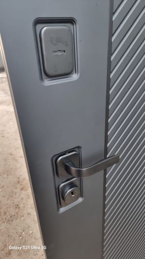 Дверь Входная REX ГРАФ симметрия с зеркалом