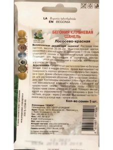 Бегония клубневая Шанель Бело-розовая 5 шт