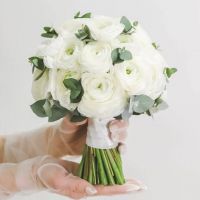 Нежное утро