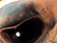 Кожа Юфть шорно-седельная 2х цветная №32