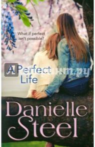 A Perfect Life / Steel Danielle