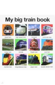 My Big Train Book