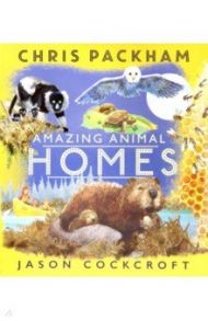 Amazing Animal Homes / Packham Chris