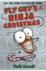 Fly Guy's Ninja Christmas / Arnold Tedd