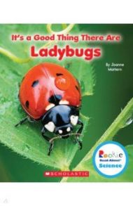 It's a Good Thing There Are Ladybugs / Mattern Joanne