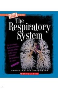 The Respiratory System / Taylor-Butler Christine