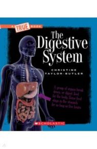 The Digestive System / Taylor-Butler Christine