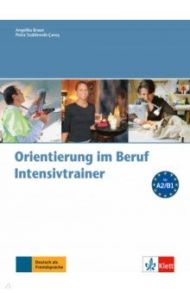 Orientierung im Beruf. Erfolgreich handeln im Beruf. Intensivtrainer mit Audio-CD / Braun Angelika, Szablewski-Cavus Petra