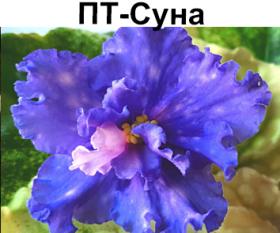 ПТ-Суна (Т. Пугачева)