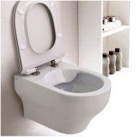 безободковый подвесной унитаз Olympia Clear CLESET2R01