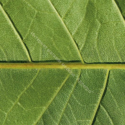 Стеновая панель SP 242 2800 мм