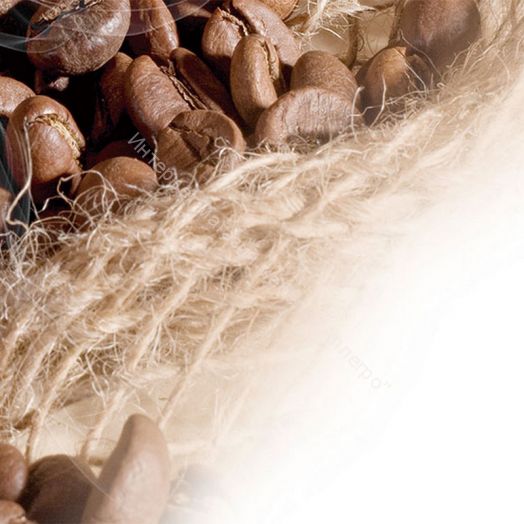 Стеновая панель SP 251 2800 мм