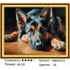 Алмазная мозаика на подрамнике HWA5313