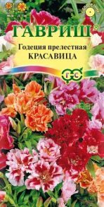 Годеция прелестная Красавица, смесь (Гавриш)