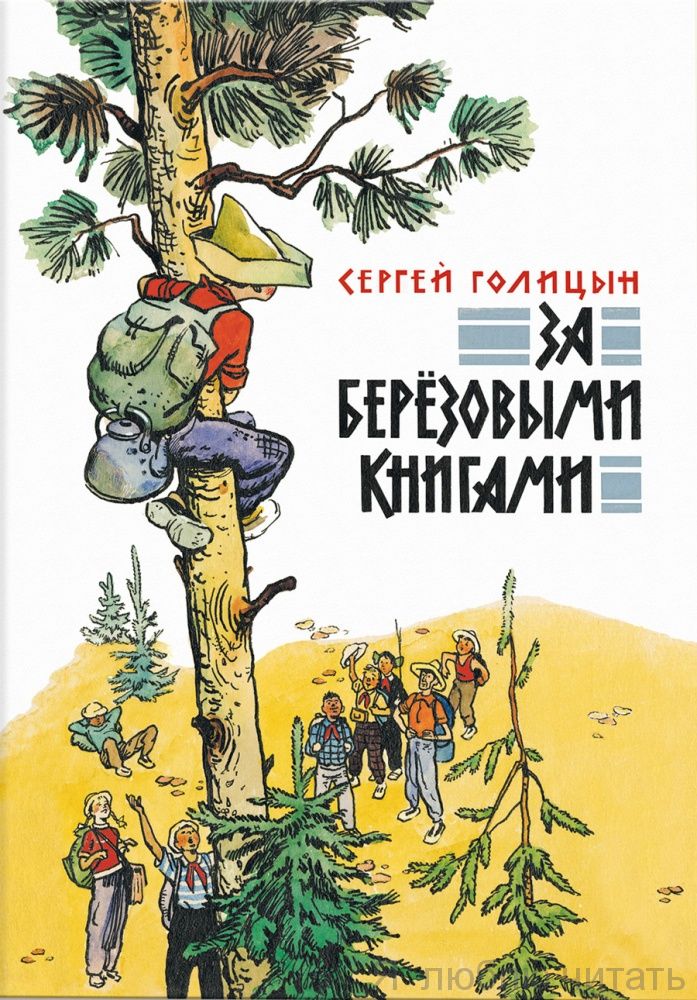 За берёзовыми книгами