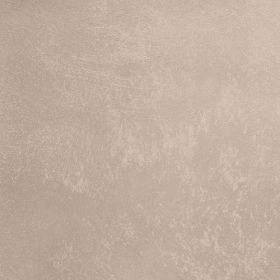 Декоративная Штукатурка Decorazza Aretino 5л AR 10-03 с Эффектом Перламутровых Переливов / Декоразза Аретино.