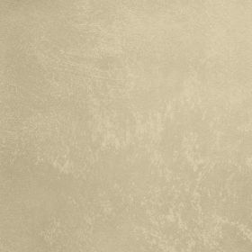 Декоративная Штукатурка Decorazza Aretino 1л AR 10-07 с Эффектом Перламутровых Переливов / Декоразза Аретино.