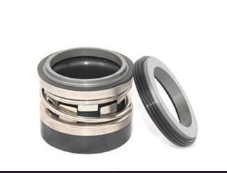 Торцевое уплотнение 0350 T2100/K/GR1C1/M