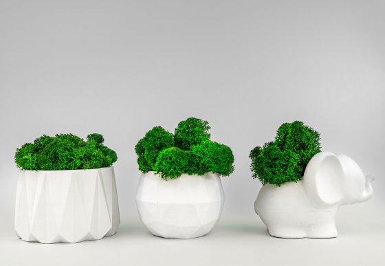 Мебель, элементы декора