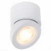 Светильник Потолочный ST-Luce ST654.532.10 Белый LED 1*10W 3000K 850Lm Ra>90 38° IP20 D95xH96 180-240V / СТ Люче