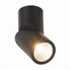 Светильник Потолочный ST-Luce ST650.442.10 Черный LED 1*10W 4000K 800Lm Ra>90 38° IP44 D60xH175 165-265V / СТ Люче