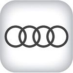 для Audi